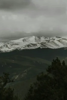 Colorado-Black-Forest-scaled_result_result_result_result