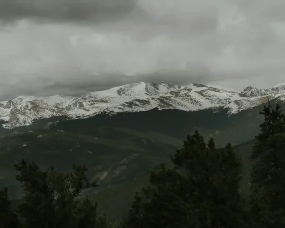 Colorado-Black-Forest-scaled_result_result_result_result