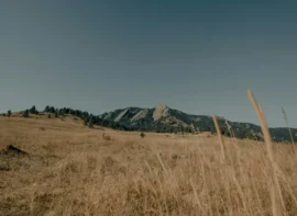 colorado-spring-schriever_result