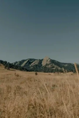 colorado-spring-schriever_result